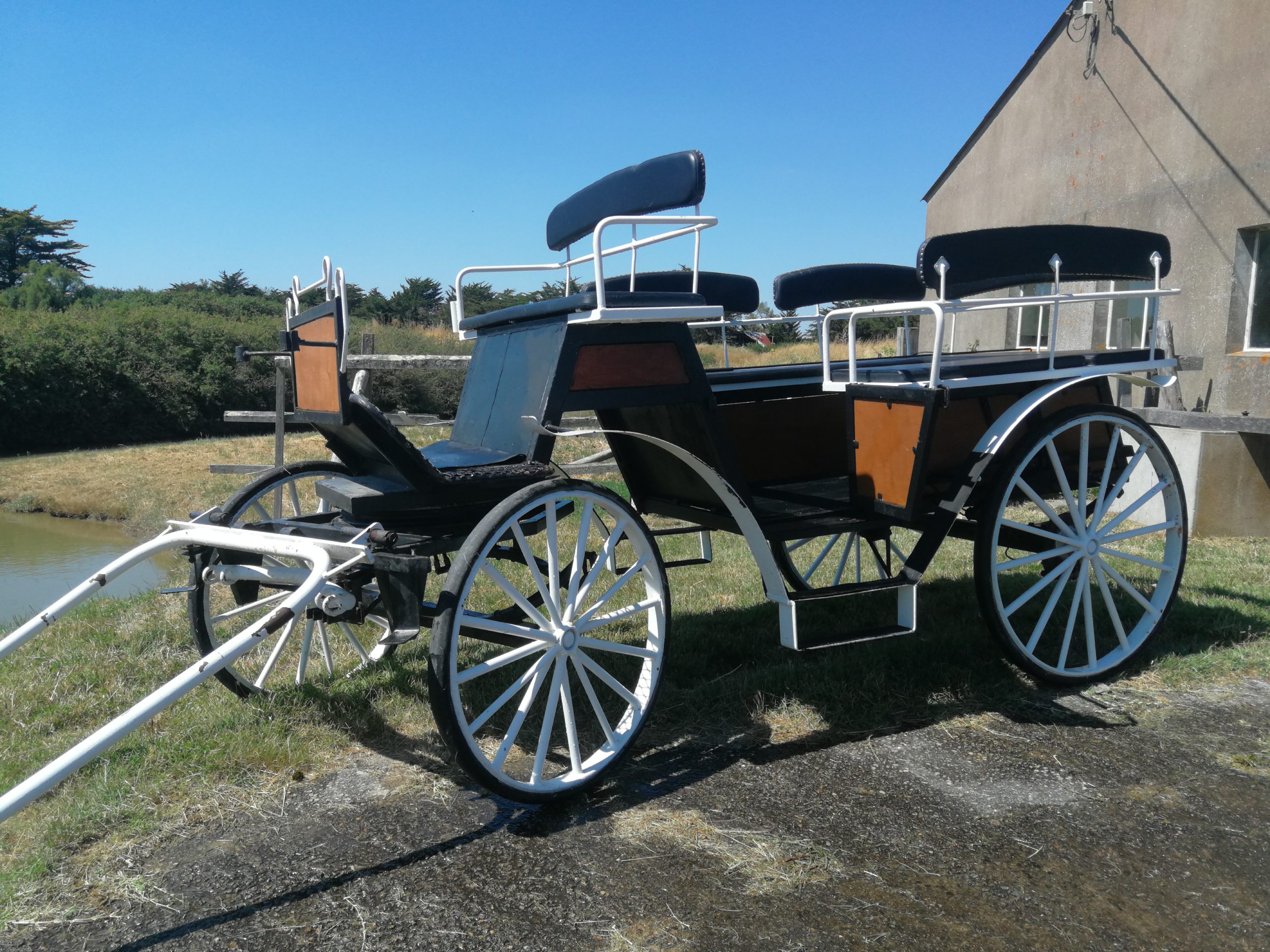 Ballade en calèche avec Concept Gillou Fiesta