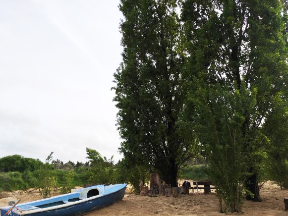 Plage de sable pour accueillir le Cconcept Gillou Fiesta près du Moutier-en-Retz