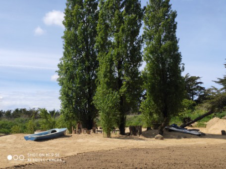 Plage de sable pour accueillir le Cconcept Gillou Fiesta près du Moutier-en-Retz