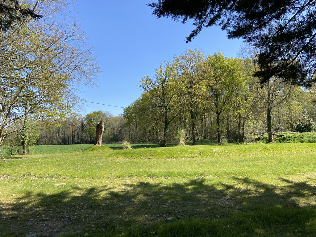 Terrain en herbe pour faire la fête avec le Concept Gillou Fiesta