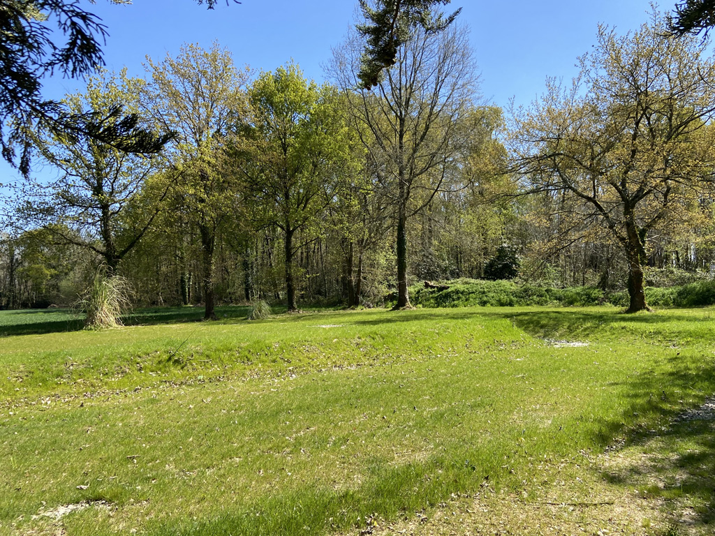 Terrain en herbe pour faire la fête avec le Concept Gillou Fiesta