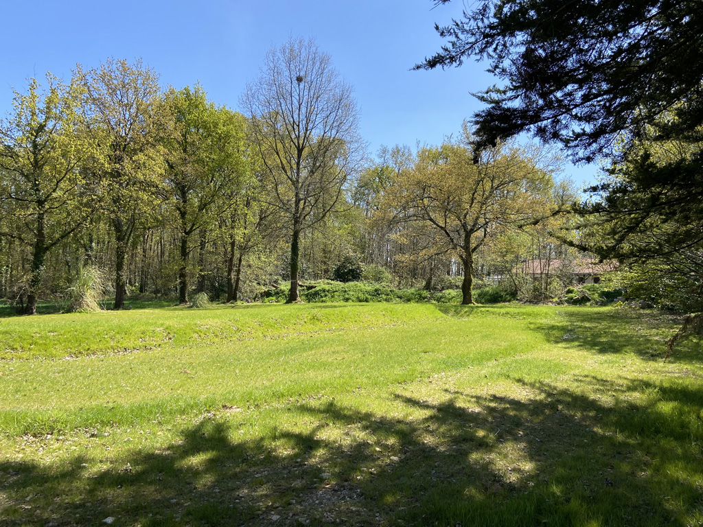 Terrain en herbe pour faire la fête avec le Concept Gillou Fiesta