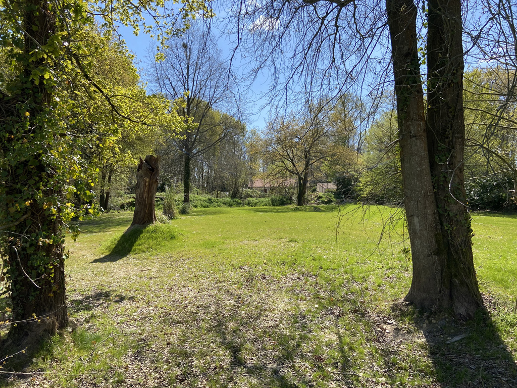 Terrain en herbe pour faire la fête avec le Concept Gillou Fiesta