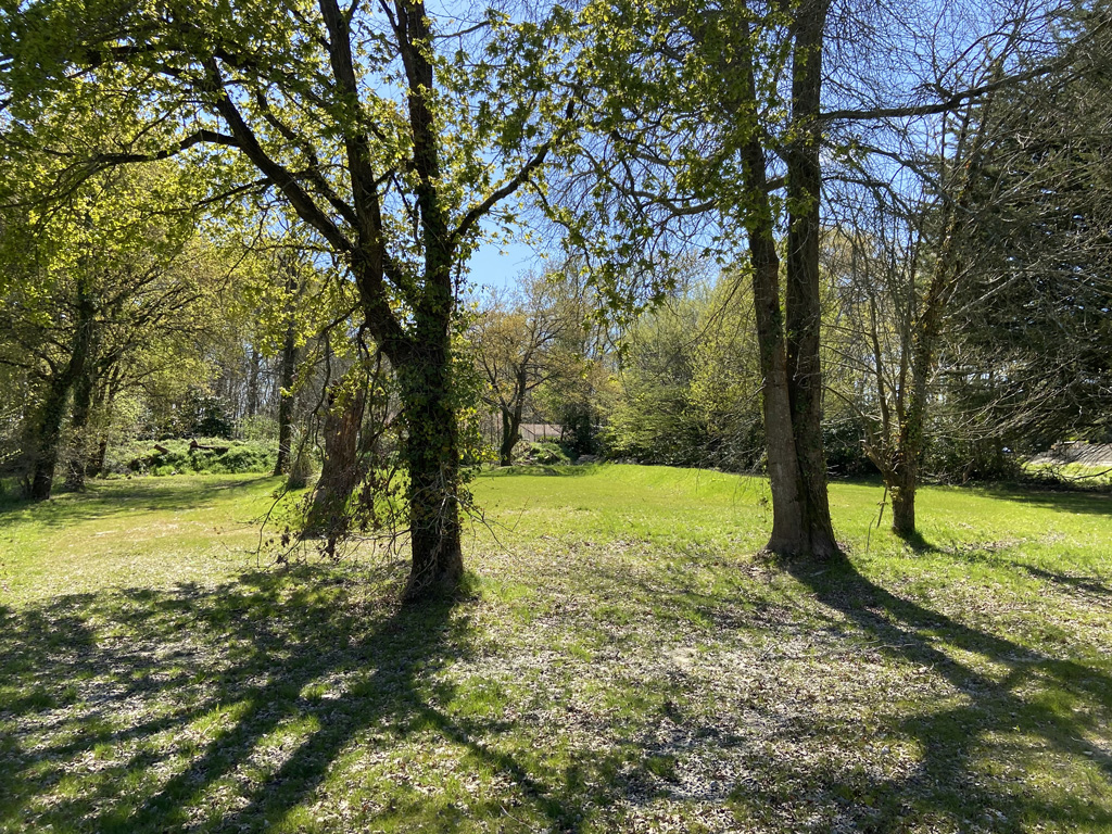 Terrain en herbe pour faire la fête avec le Concept Gillou Fiesta